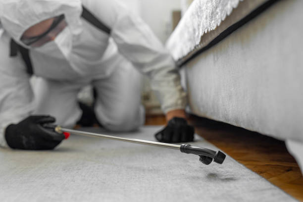 Professional Termite Control technician working in Nedrow, NY